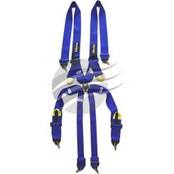 Proforce Harness, FIA, Complete, 6 Point Camlock, Individual-Type, Bol
