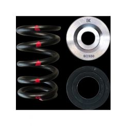 Brian Crower FA20 4UGSE Single Spring 