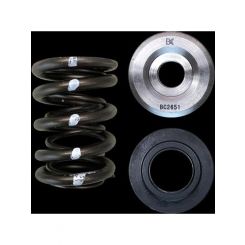 Brian Crower FA20 4UGSE Dual Spring