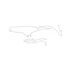 Dorman Brake Lines Stainless Steel For Jeep Front/Rear Kit