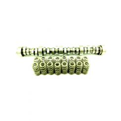 Crow Cams Camshaft Roller and Spring LS Kit