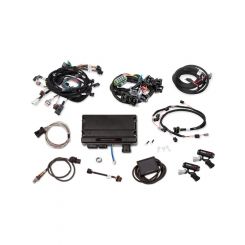 Holley Engine Management Systems Terminator X Plug and Play Harness 0