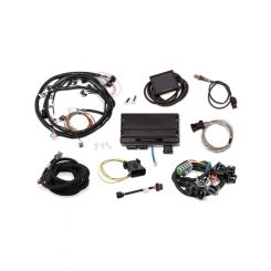 Holley Engine Management Systems Terminator X ECU EV1 Injector Harness