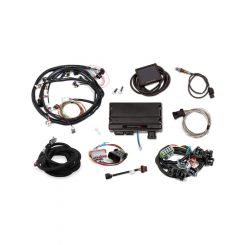 Holley Engine Management Systems Terminator X ECU EV1 Injector Harnes