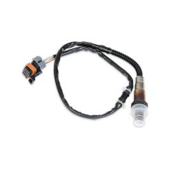 Holley Oxygen Sensor Holley EFI Bosch LSU4 Wideband