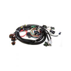 Holley Fuel Injection Wire Harness Multi-Port Avenger HP Dominator Spe