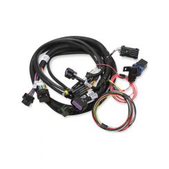 Holley Fuel Injection System Wiring Harness Holley EFI Multi-port V4