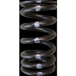 Brian Crower For Nissan VQ35DE Single Valve Springs