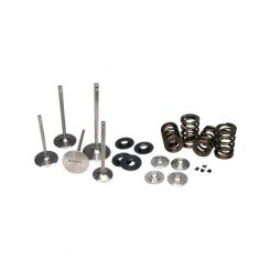 Ferrea For BMW N54 Single Spring Kit