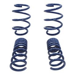 For Ford Racing 2015-2017 Mustang GT350 Lowering Springs