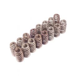 For Ford Racing BOSS 302R Valve Spring Kit