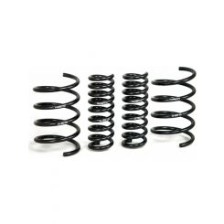 H&R 01-06 For Mercedes-Benz C240/C320/C55 AMG W203 Sport Spring