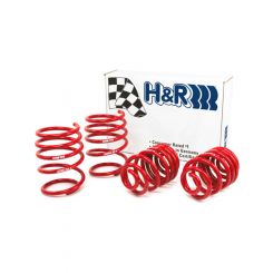 H&R 01-06 For BMW 325Ci Cabrio/330Ci Cabrio E46 Race Spring w/Sport S