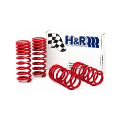 H&R 94-95 For Ford Mustang/Mustang Cobra V8 Race Spring