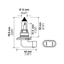 Hella 12V 55W Halogen Bulb