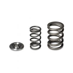 Skunk2 Alpha Series For Honda/For Acura H Series Valve Spring and