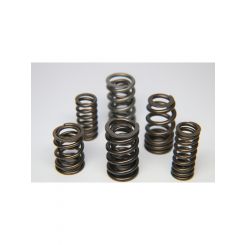 Ferrea For Ford Zetec ZX2 Single Valve Spring Single