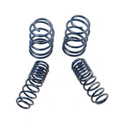 Ford Racing For 2005-2014 Mustang GT 1.0in. Track Lowering Springs