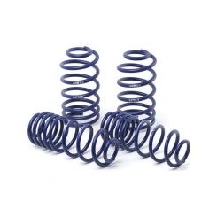 H&R For 00-05 Ford Focus/Focus SVT DAW Race Spring Non Wagon