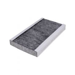 Fram Air Filter