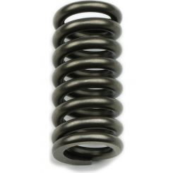 Coan Reverse Servo Spring Manual Steel Natural Each