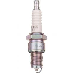 NGK Spark Plug