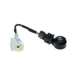 PAT Knock Sensor