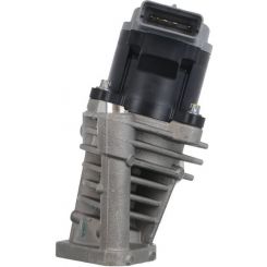 Valeo EGR Valve