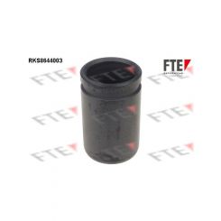 Valeo FTE Brake Caliper Piston