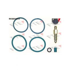 Valeo FTE Brake Caliper Repair Kit
