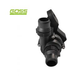 Goss Auxiliary Water Pump