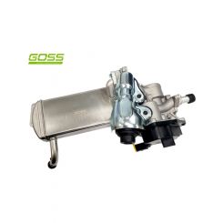 Goss EGR Valve & Cooler Assy