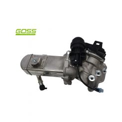 Goss EGR Valve & Cooler Assy
