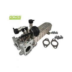 Goss EGR Valve & Cooler Assy