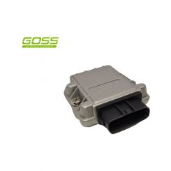Goss Ignition Module
