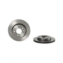 Brembo Disc Brake Rotor (Single) 300mm