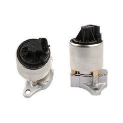 AFI EGR Valve