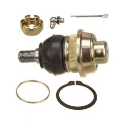 TRW Ball Joint