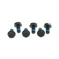 Sachs Flywheel Bolt Kit