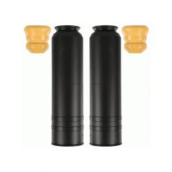 Sachs Protection Kit