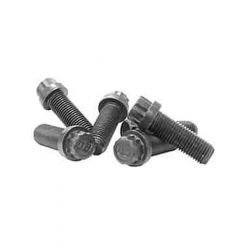 Coleman Machine Bolt Flywheel 7/16-20 x 1in 6 Pcs.
