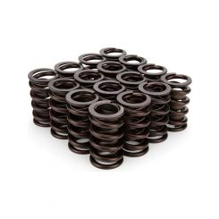 Comp Cams 1.269 Diameter HP Valve Spring Set