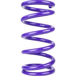 Draco Racing Conventional Spring Front 9.500in Length 5.0