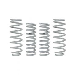 Eibach Drag Launch Kit For 05-22 Dodge Charger Challenger