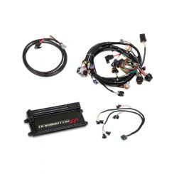 Holley Dominator EFI Kit For GM LS