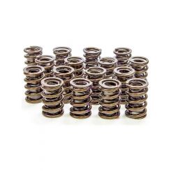 Isky Cams 1.530 Endurance Plus Dual Valve Springs Pack of 16