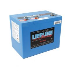 Lifeline Battery 16 Volt 3 Post Battery