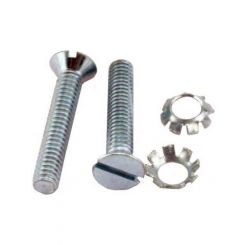 Vintique Rear Hood Retainer Screw Kit For 1930-31 Ford