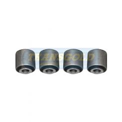 Transgold Rear Lateral Link Bush Kit