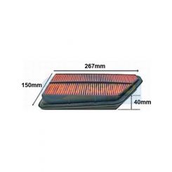 Transgold Air Filter